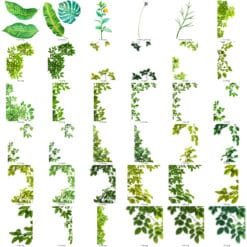 Universal Graphics 10 Flower PNG Transparent Images