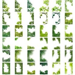 Universal Graphics 11 Flower PNG Transparent Images