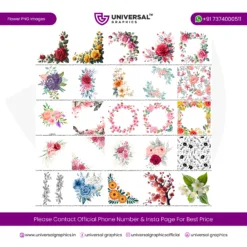 Flower PNG Transparent Images VOL 03 Universal Graphics